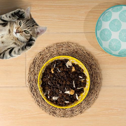 Selamica 세라믹 고양이 그릇, 14cm(5.6인치) 너비의 얕은 고양이 사료 그릇, 음식과 물용, 수염 친화적, 6개 세트, 다양한 색상 - color: 다양한 색상, size: 5.6 Inch, Set of 6