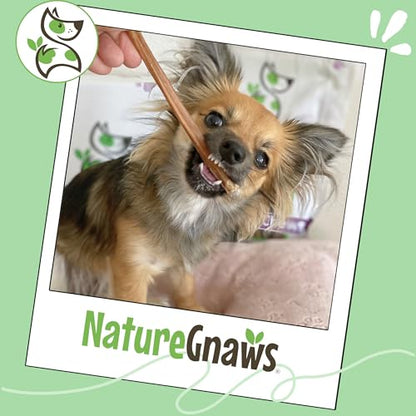 Nature Gnaws Extra Thin Bully Sticks for Small Dogs 5-6" (25 Count) - Long Lasting for Light Chewers and Puppies - Natural Beef Dog Chew Bones - size: 25 Count (Pack of 1)