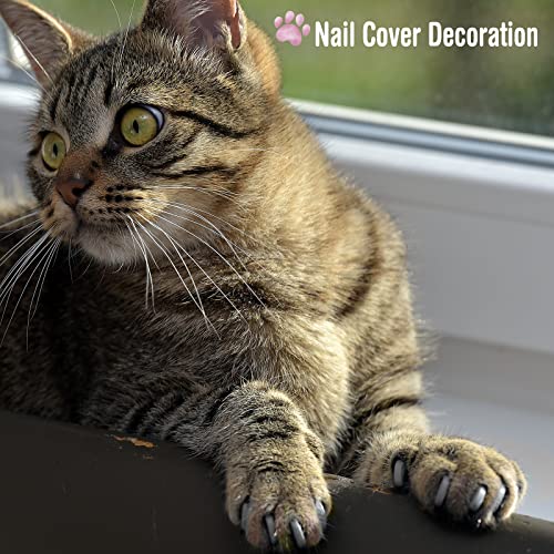 9 Pcs Cat Bathing Bag Set Cat Shower Bag Anti Bite and Scratch for Pet Grooming Washing Brush Comb Muzzle Nail Clipper Nail File Tick Tool(Blue, Gray) - color: Blue, Gray