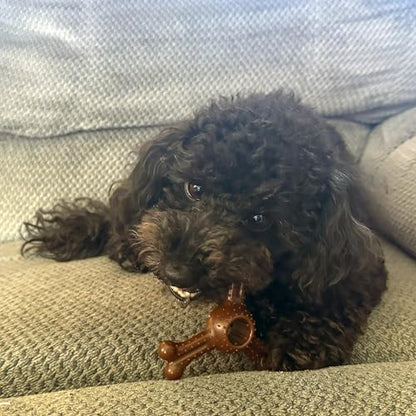 SPOT Bam-Bones Plus Triple Chew Dog Toy, Durable Bamboo Fiber & Nylon, for Aggressive Chewers, Adult Dogs & Teething Puppies Under 30lbs, 4in, Bison Flavor - size: 4 in (1-Pack)