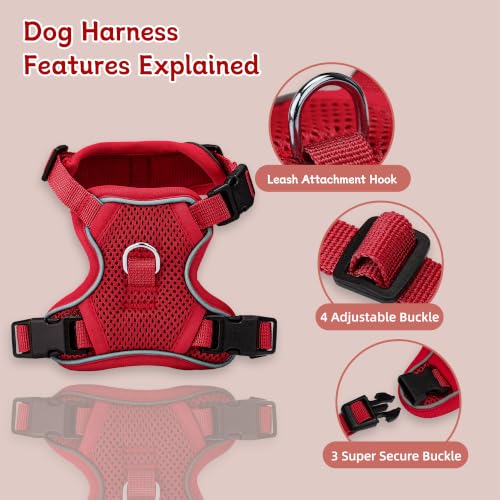 Small Dog Harness and Leash Set, Reflective Soft Breathable Mesh Vest, 3 Buckles, Adjustable Neck and Chest,Step in Dog Harness for Walking, Running, Training, Red, XS - color: Red, size: X-Small
