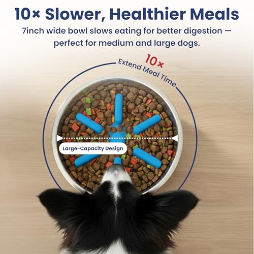 PawsPik 64oz 18/8 Stainless Steel Slow Feeder Dog Bowl, Double-Wall Non-Slip Metal Dog Bowl for Fast Eating Medium & Large Breeds, Detachable Slow Feeder Insert, Dishwasher Safe (Midnight Summit Blue) - color: Midnight Summit Blue