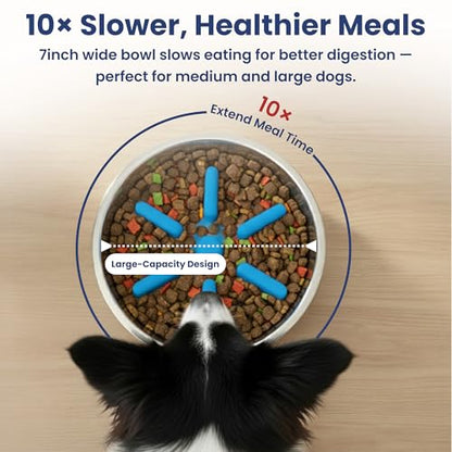 PawsPik 64oz 18/8 Stainless Steel Slow Feeder Dog Bowl, Double-Wall Non-Slip Metal Dog Bowl for Fast Eating Medium & Large Breeds, Detachable Slow Feeder Insert, Dishwasher Safe (Midnight Summit Blue) - color: Midnight Summit Blue