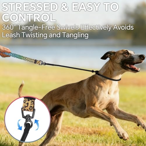QQPETS Adjustable Slip Lead Dog Leash, Hands Free Waist Leash for Dog Walking, Reflective Training Lead with 360° Swivel Anti-Tangle, 4-7 ft Length for All Breeds - color: Gradient Leopard