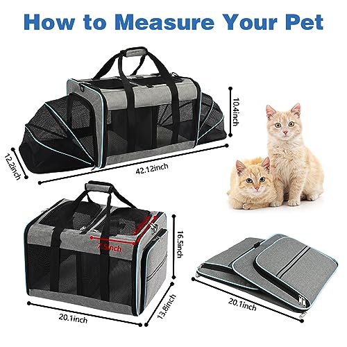 Portable 2-in-1 Pet Carrier,Double Compartment Cat & Dog Carrier for 2 Cats,Expandable Medium Dogs Large Cat Carrier with Sturdy Base,Breathable,Good for Traveling Walking Camping（Blue） - color: Blue