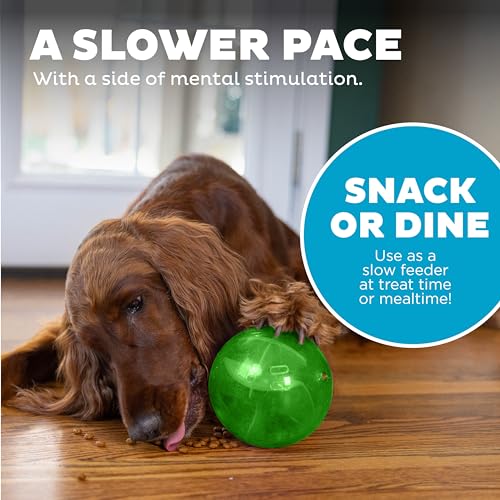 Outward Hound Orbee-Tuff Mazee Interactive Dog Puzzle Toy, Treat Dispensing Slow Feeder Ball, Green, 4.7-Inch - color: Green