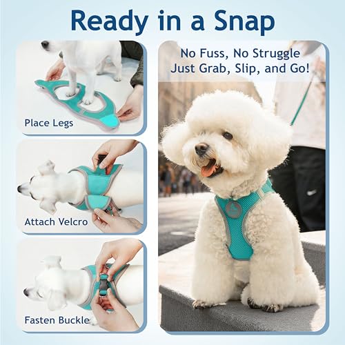 Kruz Dog Harness (Chest 18.5"-19.5", Weight 15–20 lbs) Athletica Adjustable Heavy Duty No Choke Puppy Vest for Small Dogs Lightweight Air Mesh, Reflective, Puppy Essentials – Turquoise, Large - color: Turquoise, size: Large