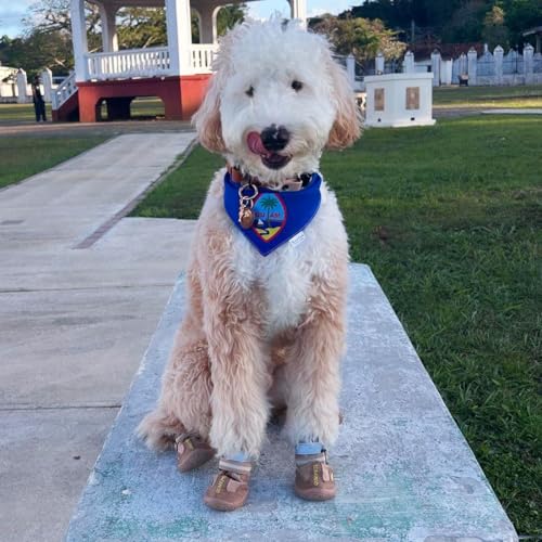 QUMY Dog Shoes for Large Dogs, Medium Dog Boots & Paw Protectors for Winter Snowy Day, Summer Hot Pavement, Water-Resistant in Rainy Weather, Outdoor Walking, Indoor Hardfloors Skid-Resistant Sole - size: Size 6: 2.6''x3.0''(W*L) (Pack of 4)