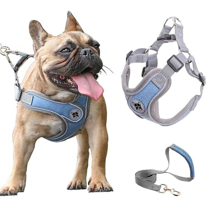 Medium Dog Harness and Leash Set,No Pull Adjustable Step in Soft Mesh Vest Harness,Easy Walk Reflective Pet Harness with Padded Handle for Walking Training Small Medium Large Dogs and Cats (Blue, M) - color: Blue, size: M