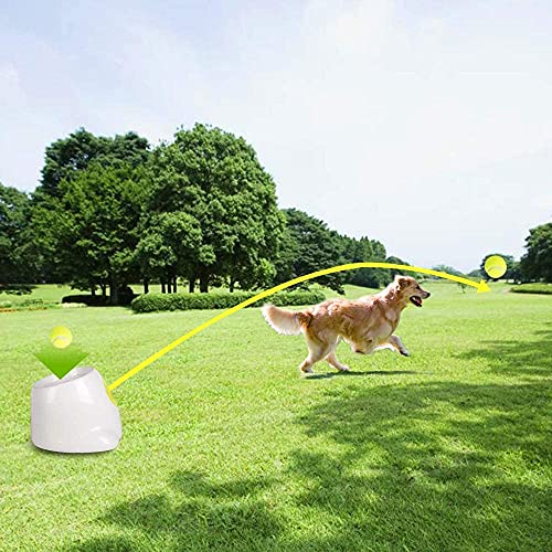 ALL FOR PAWS Automatic Ball Launcher for Dogs Interactive Puppy Pet Ball Indoor Thrower Fetch Machine, 3 Balls Included (2 inch) + Six Tennis Balls Bundle