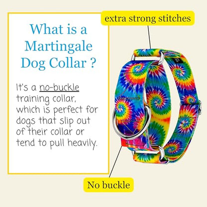 Country Brook Petz - HossFit Jr Wide Martingale Dog Collar - Groovy Collection Featuring Far Out Designs (Classic Tie Dye, Medium) - color: Classic Tie Dye, size: Medium (Pack of 1)