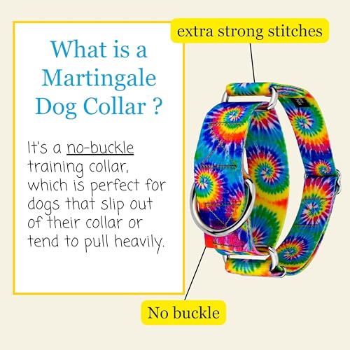 Country Brook Petz - HossFit Jr Wide Martingale Dog Collar - Groovy Collection Featuring Far Out Designs (Classic Tie Dye, Extra Large) - color: Classic Tie Dye, size: Extra Large (Pack of 1)