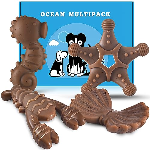 NEZIN Dog Chew Toys for Aggressive Chewers, 4 Pack Indestructible Dog Toys with Tough Nylon, Chew Toy Gift for Dogs of All Breed Sizes - color: 4 PCS