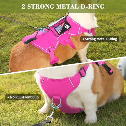 VOOPET Escape Proof Dog Harness, Soft Padded Full Body Pet Harness, Reflective No Pull Dog Harness with Handle and 2 Leash Clips for Large Dogs Walking Hiking Training (Rose Pink,XL)