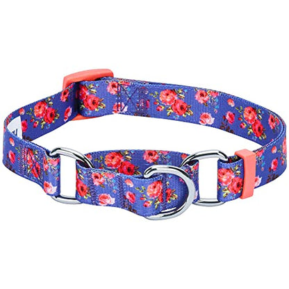 Blueberry Pet Spring Scent Inspired Rose Print Martingale Safety Training Dog Collar, Irish Blue, Small, Heavy Duty Adjustable Collars for Dogs - color: Irish Blue, size: Small