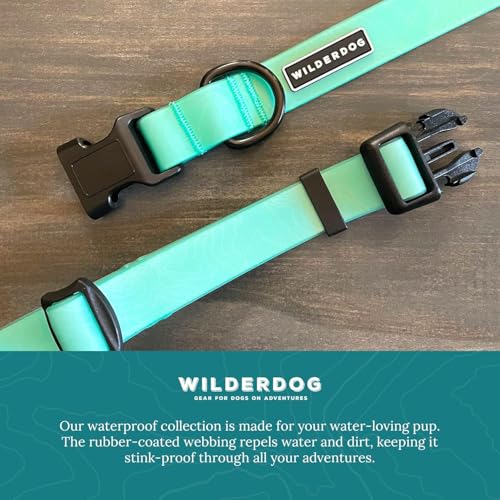 Wilderdog Waterproof Dog Collar - Repels Water & Dirt - Small 11"-15" - Seafoam - color: Seafoam, size: Small
