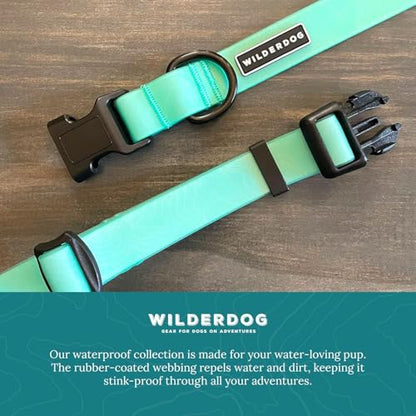 Wilderdog Waterproof Dog Collar - Repels Water & Dirt - Small 11"-15" - Seafoam - color: Seafoam, size: Small