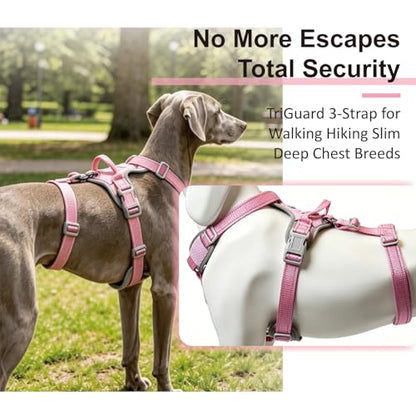 ThinkPet Flexfit 3-Strap Escape Proof Dog Harness, No Pull Front Clip 2-in-1 Vest with Control Handle, 360° Reflective Breathable Adjustable Harness for Greyhound Whippet Vizsla, Medium, Pink - color: Pink, size: Medium