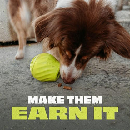 Benebone Pawbler - Natural Rubber Interactive Enrichment Treat and Kibble Dispensing Dog Toy - Great for Boredom - Small