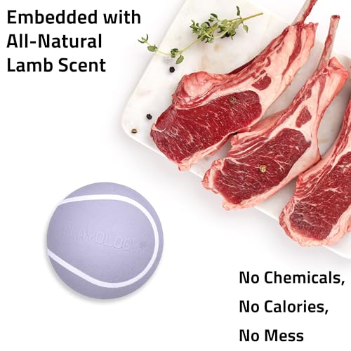 Playology Dog Toys | Squeaky Chew Ball for Large Dogs | Lamb Scented Jumbo Dog Ball | Bouncy Floating Chew Toys for Fetch - size: Jumbo, style: Lamb
