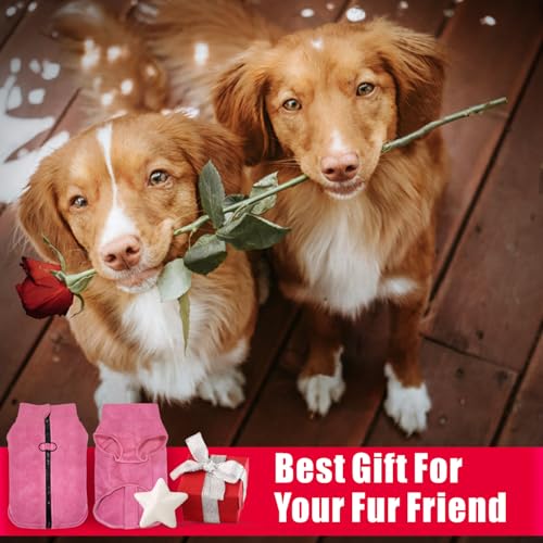 Idepet Dog Fleece Vest Sweater Zip Up Warm Pullover Dogs Jacket with D-Ring Leash Winter Cold Weater Coat Pet Sweatershirt Clothes Hoodie for Small Medium Dogs Boy Girl (Rose Red, XS) - color: Rose Red, size: XS
