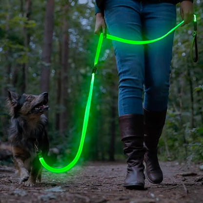 Colaseeme LED Light Up Dog Leash, USB Rechargeable (6FT,Green) | Glow in dark, reflective, USB-C rechargeable, bright LED for night safety, fits medium to large dogs - color: Green, size: 6FT