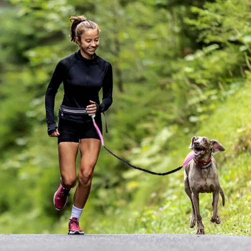 Caudblor Waist Leash for Medium Large Dog Walking, Bungee Hands Free Leash with Zipper Pouch, Around The Waist No Pull Running Dog Belt, Padded Handle Jogging No Hands Heavy Duty - color: Rose