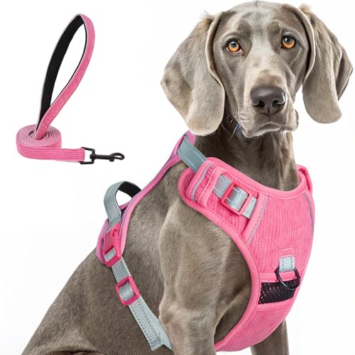 BEAUTYZOO No Pull Dog Harness Large, Adjustable Dog Harness and Leash Set -Easy Wearing with 3 Buckles/Control Handle,No Choke Soft Padded Reflective Pet Vest for Training Walking Hiking,Rose XL - color: Solid Rose, size: XL: chest 22"-44"