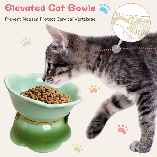 Kathson 4 Pcs Ceramic Raised Cat Food Bowls Elevated Kitty Bowl for Food and Water Anti Vomiting Tilted Cat Bowl for Kittens and Small Dogs Dishwasher and Microwave Safe (8.45 Ounces) - size: Blue,Green,Peach,Pink