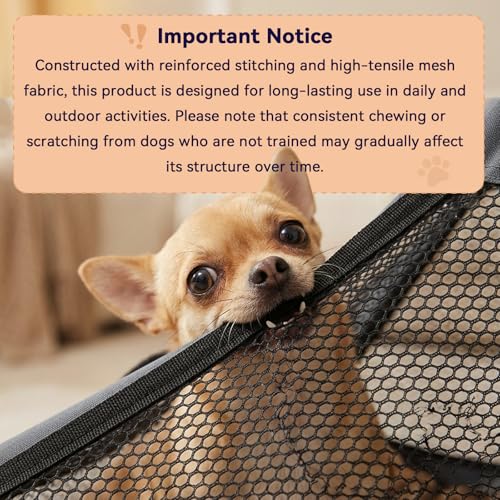Small Stainless Steel Elevated Dog Crate with Cover, 2-in-1 Indoor & Outdoor Raised Pet House, Rust-Proof Dog Kennel with Silicone Anti-Slip Feet, Tool-Free Assembly - size: 20.0"L x 20.0"W x 24.0"H