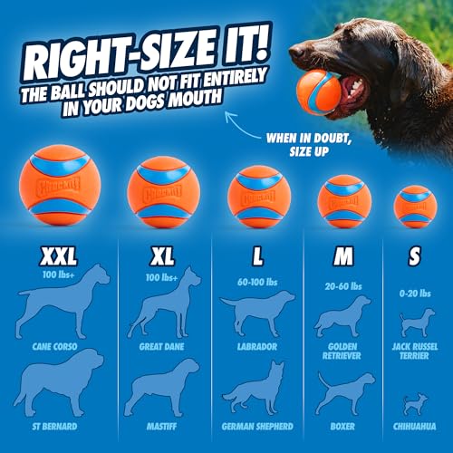 Chuckit! Ultra Ball Dog Toy - Medium Bouncy Fetch Balls For Dogs 20-60 lbs - Made from Durable Rubber - Floating Water Pet Toys - Size Medium - 2.5-inch Diameter - Pack of 4 - size: Medium, style: Medium (4 Pack)