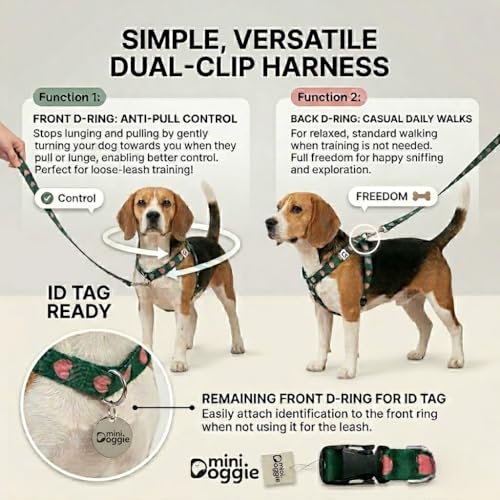 Heart Small Dog Harness – Soft Webbing, Front & Back Clip, No-Pull Design, Lightweight (Green, Small) - color: Green, size: Small