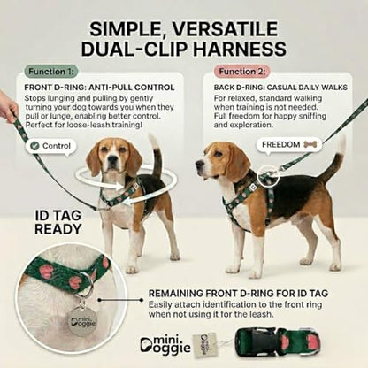 Heart Small Dog Harness – Soft Webbing, Front & Back Clip, No-Pull Design, Lightweight (Green, Medium) - color: Green, size: Medium