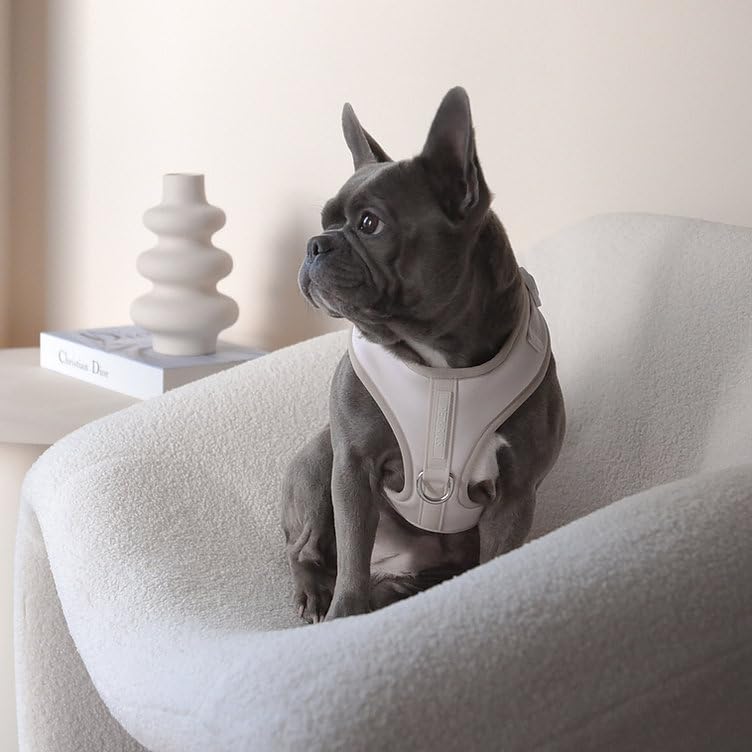 Premium No-Pull Dog Harness Soft Neoprene & Breathable Mesh Vest with Front & Back Clip D-Rings Adjustable Lightweight Walking Harness for Puppies, Small & Medium Dogs (Sand, XS) - color: Sand, size: XS: Neck 10.6-14.2'', Chest 14.2-18.9''