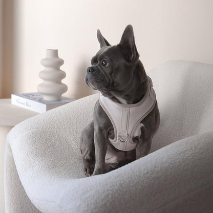 Premium No-Pull Dog Harness Soft Neoprene & Breathable Mesh Vest with Front & Back Clip D-Rings Adjustable Lightweight Walking Harness for Puppies, Small & Medium Dogs (Sand, S) - color: Sand, size: S: Neck=13.8-17.3''/Chest=16.1-21.3''