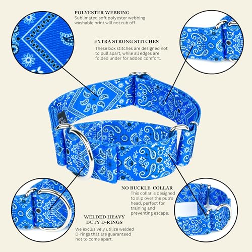 Country Brook Petz - HossFit Jr Wide Martingale Dog Collar - Country and Western Collection Featuring Rustic Designs (Blue Bandana, Medium) - color: Blue Bandana, size: Medium (Pack of 1)