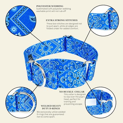 Country Brook Petz - HossFit Jr Wide Martingale Dog Collar - Country and Western Collection Featuring Rustic Designs (Blue Bandana, Medium) - color: Blue Bandana, size: Medium (Pack of 1)
