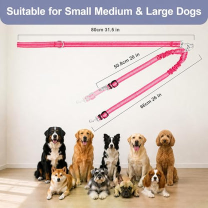Double Dog Leash for Two Dogs, Complete Set with 31.5" Main Leash + Adjustable Splitter, Padded Handle, D-Ring, 360° Swivel, Shock-Absorbing Bungee, Reflective for Small Medium Large Dogs (Pink) - color: Pink