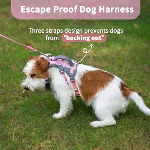 Huntboo Reflective Dog Harness with Handle, Escape Proof, No Slip, Breathable, Lightweight, Adjustable Lift Harness for Small, Medium, and Large Dogs Walking, Training, and Running Gear(Light Pink,S) - color: Light Pink, size: Small (Pack of 1)