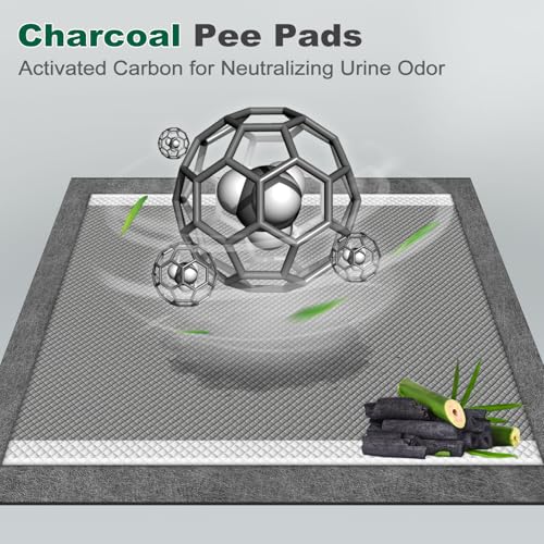 MIZOK Pee Pads for Dogs Charcoal, 28x30in Large Wee Wee Pads for Dogs, Superior Odor Protection, Super Absorbent & Leak-Proof, Puppy Pads with Adhesive Tabs, Thick & Heavy (40 Count) - size: Large 28"x30" 40 Count