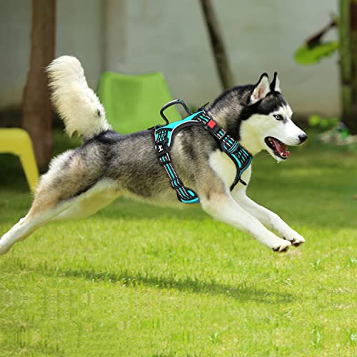 PoyPet No Pull Dog Harness, No Choke Front Clip Reflective Dog Vest with Soft Padded Vertical Handle, 3 Leash Attachments for Small Medium Large Dogs (Mint Blue,M) - color: Mint Blue, size: Medium