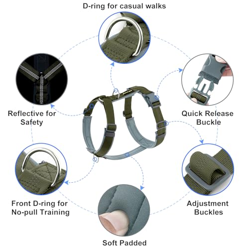 Plutus Pet No Pull Dog Harness, Adjustable Nylon Harness with Soft Padding, Reflective and Heavy Duty Dog Harness for Small, Medium, Large Dogs(Ranger Green, S) - color: Ranger Green, size: S