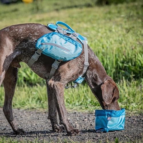 Kurgo Zippy Bowl for Dogs, Collapsible Travel Dog Bowls, Pet Food & Water Hiking Container, Food Grade Silicone, Travel Accessories for Pets, Includes Carabiner, Holds 48 oz (Coastal Blue) - color: Blue
