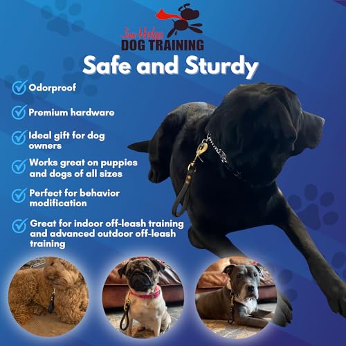 Biothane Training Tab Leash for Dogs, Brass Hardware, No Pull with Easy Grip Handle, Made in The USA, Professional Grade-Black - color: Black