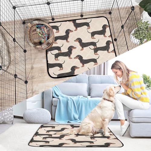Qilmy Dachshund Dog Pet Mat, Waterproof Reusable Dog Training Pad Anti-Slip Pet Creat Pad for Small Medium Large Dogs and Cats - size: Medium+Large
