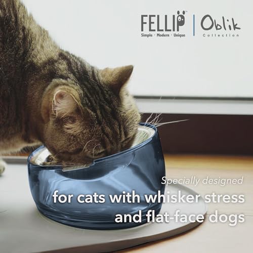Felli Pet Oblik Whisker Fatigue Cat Food Bowl Raised Stainless Steel Shallow Dish, Pet Design Anti Vomit Tilted Metal Plate Feeder Elevated Acrylic Base (Shadow, 0.5 Cups Shallow Dish) - color: Shadow, size: 0.5 Cups Shallow Dish