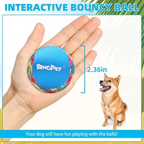 BINGPET Dog Pool Toy Floating Balls, 2 Pcs Dog Water Ball for Summer Swimming Bouncing Ball Pool Toys, Interactive Soft Dog Chew Balls for Small and Medium Dogs - color: Hawaiian