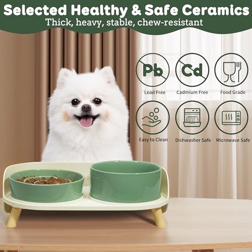 Elevated Slow Feeder Dog Bowls - Ceramic Food and Water Bowl Set with Stand - Raised Pet Dishes for Small and Medium Sized Dogs - color: Green