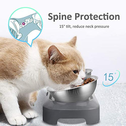 AYADA Raised Cat Food Bowl, Stainless Steel Cat Dish for Dry Wet Food Water, Anti Vomiting Elevated with Stand Ergonomic Lifted Slanted Tilted 15 Angle Metal Single Kitty Kitten Pet Bowl (Double) - color: Double