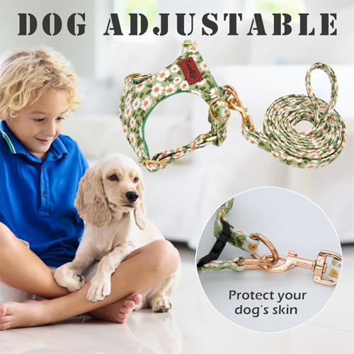 OaaXbbECco No Pull Floral Pattern Puppy Harness,Soft Adjustable Dog Harness Vest and Dog Leash Set No Choke Escape Proof (Green Daisy, XXS) - color: Green Daisy, size: XXS